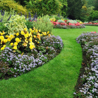 Green spaces and garden remodeling