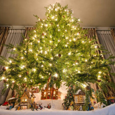 How to choose the right sized Christmas tree for your home