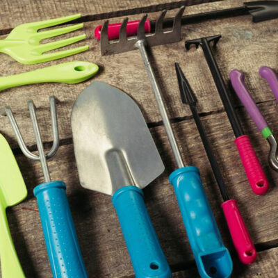 Keep your garden weed-free and clean with right garden tools