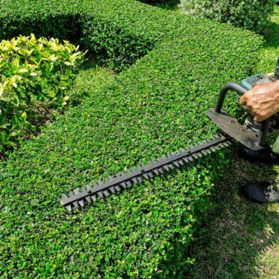 The best weed trimmers to beautify your garden