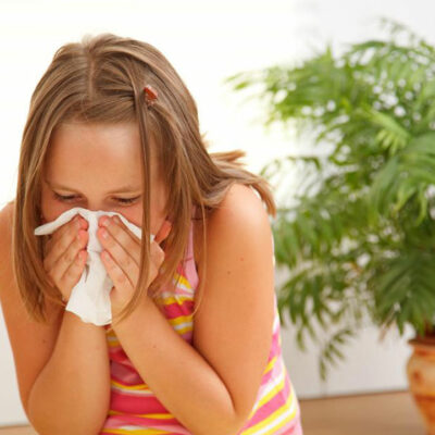 Tips to prevent allergies from three primary sources