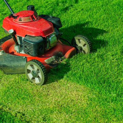 Tips for choosing the best lawn mower