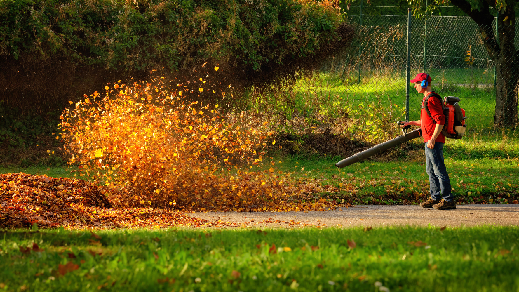 A Brief Guide To Buying A Leaf Blower