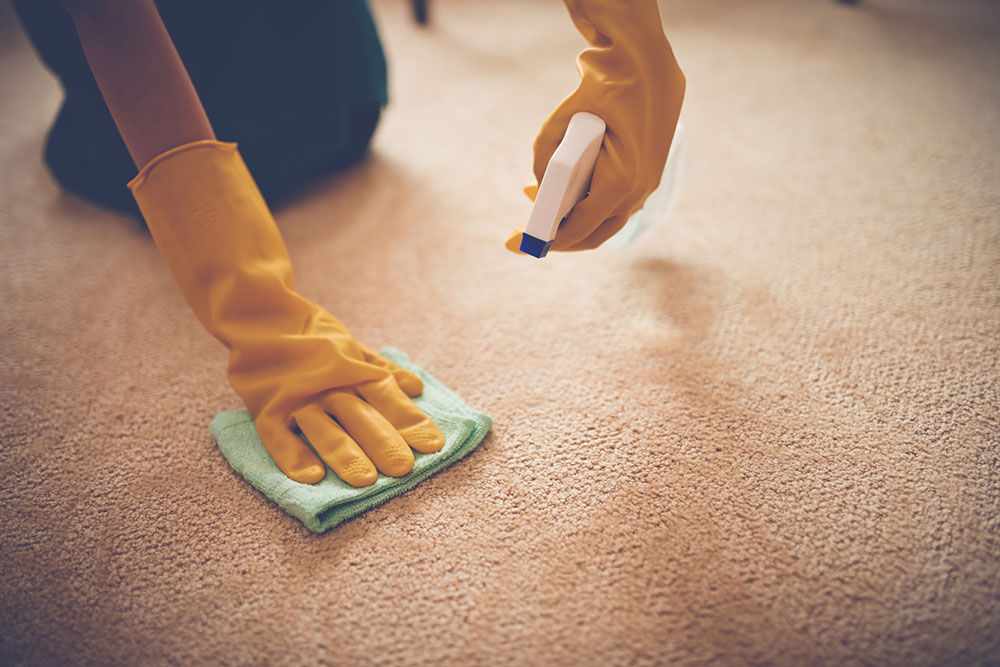 Popular carpet stain removers