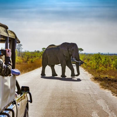 Selecting the Right Travel Package for Africa