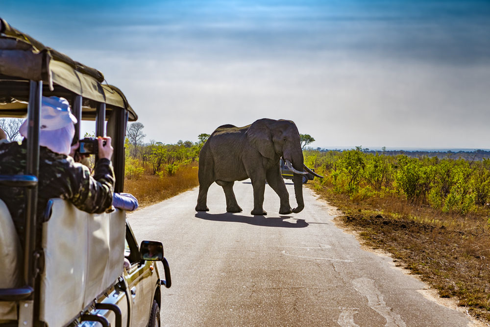 Selecting the Right Travel Package for Africa