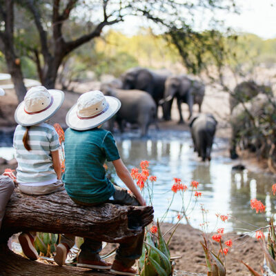 Top 11 Luxury African Safari Lodges