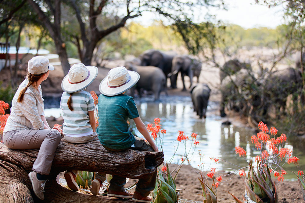 Top 11 Luxury African Safari Lodges