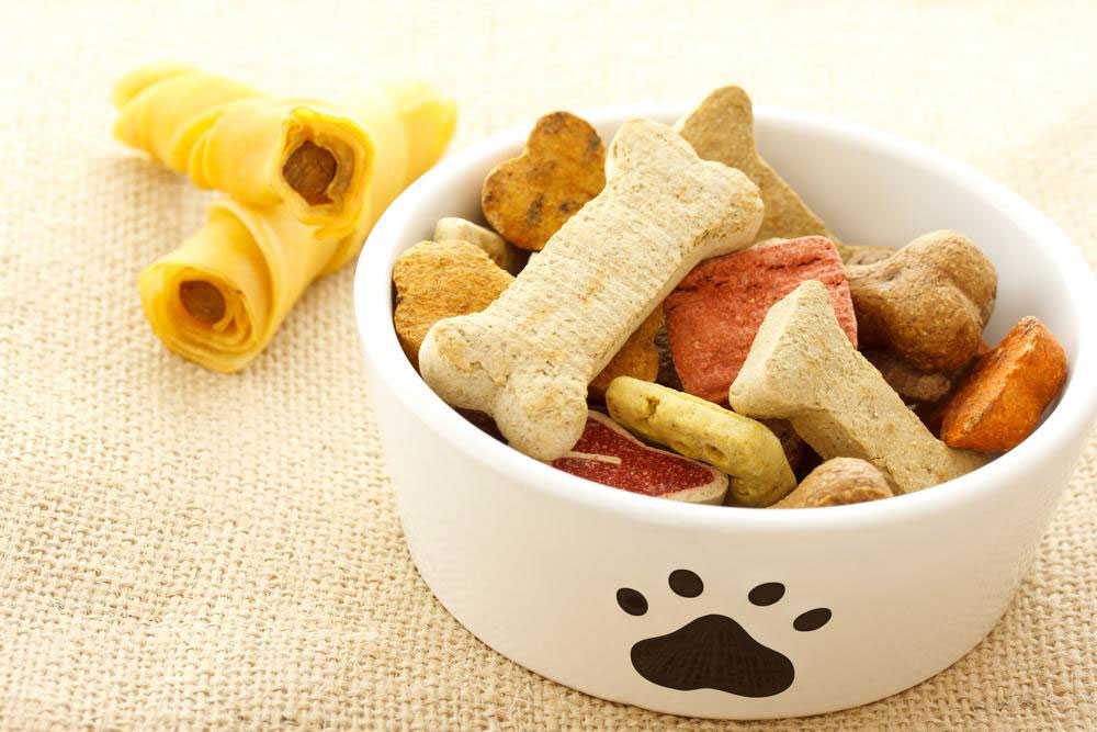 6 things to know about dog food allergies