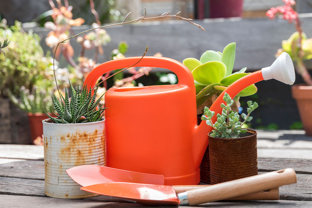 6 Exciting Cyber Monday Deals on Patio and Garden Equipment