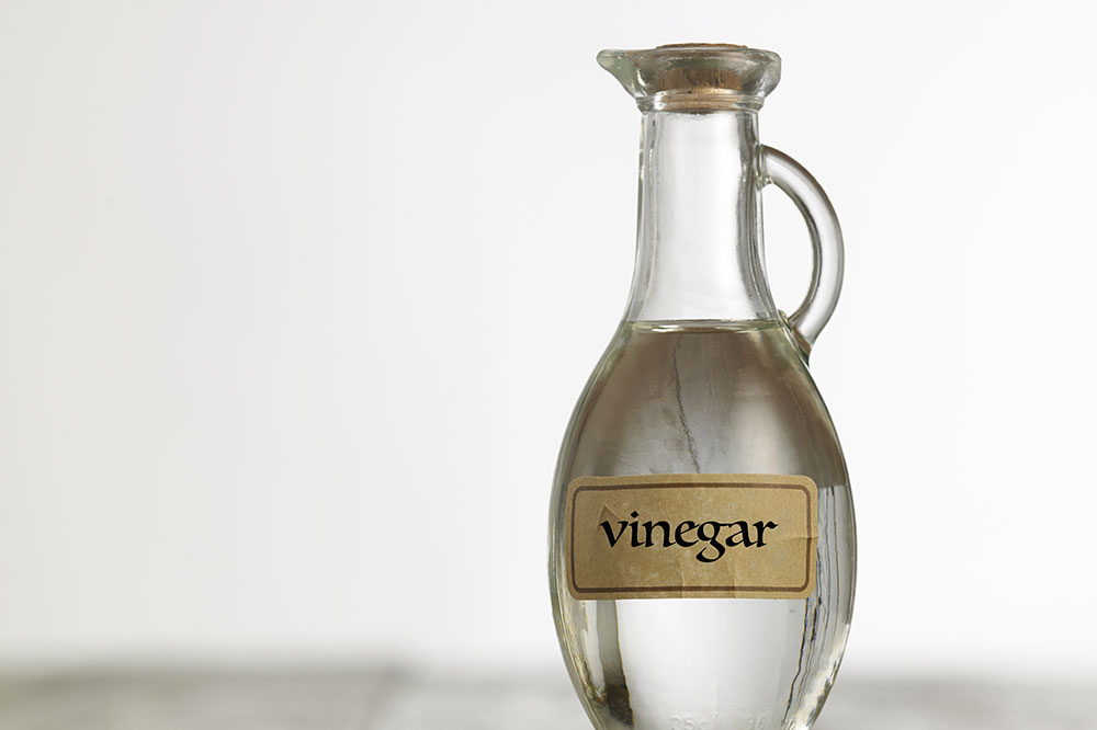 White Vinegar for Ant Control &#8211; How It Works and Ways to Use